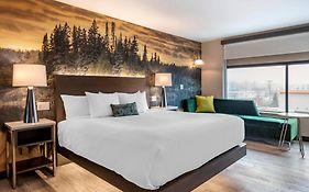 Cambria Hotel Shelby Township - Detroit Utica